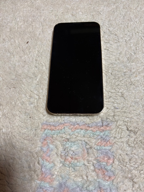 iPhone iPhone 13 Pro 256GB docomo（スマホ）の商品画像 - 査定依頼日：2026年7月16日 - 最高査定価格：51,500円