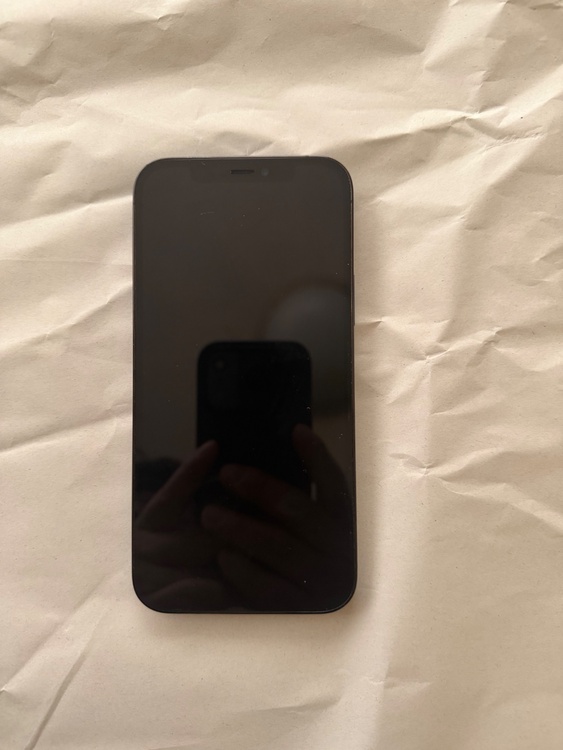 iPhone12pro256GB ブルー（スマホ）の商品画像 - 査定依頼日：2026年2月19日 - 最高査定価格：35,000円