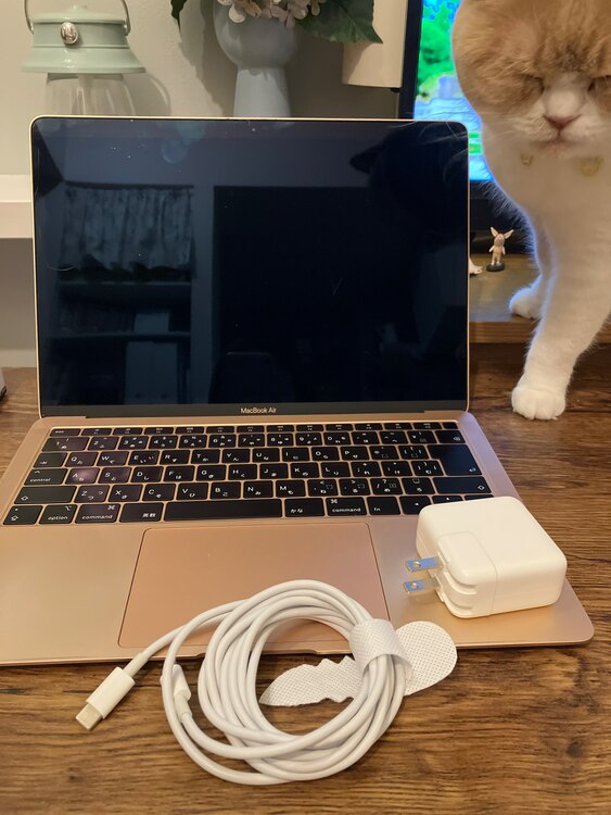 Mac Book air 2019（PC・タブレット）の商品画像 - 査定依頼日：2025年4月2日 - 最高査定価格：22,000円