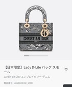 レディディオール（ブランドバッグ）の商品画像 - 査定依頼日：2026年1月20日 - 最高査定価格：250,000円