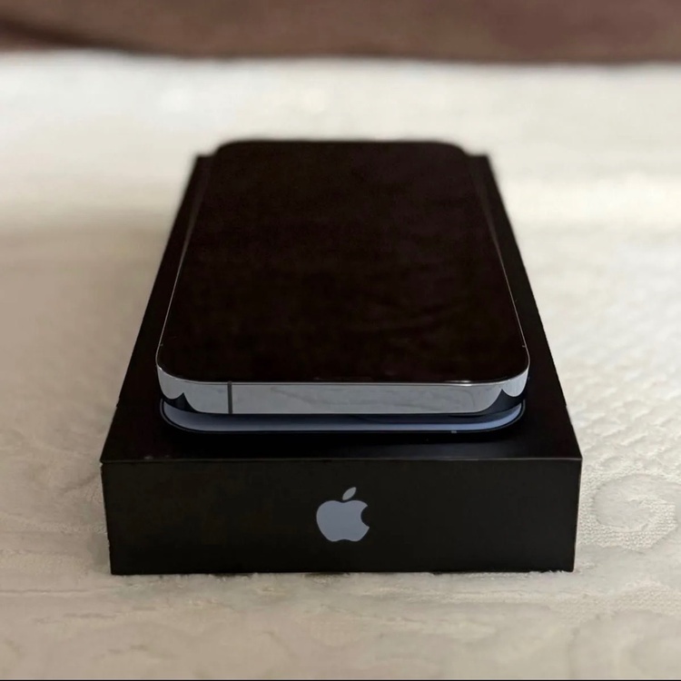 iPhone iPhone 13 Pro Max 256GB SIMフリー（スマホ）の商品画像 - 査定依頼日：2026年7月17日 - 最高査定価格：65,000円