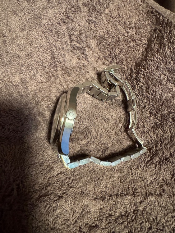 Seamaster Aqua Terra GMT Co-Axial（高級時計）の商品画像 - 査定依頼日：2026年2月13日 - 最高査定価格：530,000円