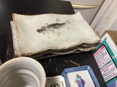 九谷焼市川清麟の皿（美術品・骨董品）の商品画像 - 査定依頼日：2026年5月21日 - 最高査定価格：500円