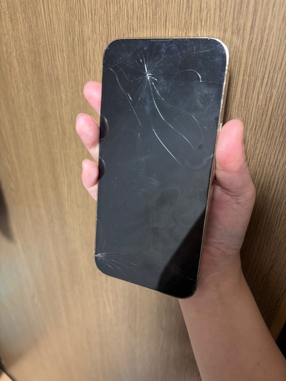 iPhone iPhone 13 Pro Max 128GB au（スマホ）の商品画像 - 査定依頼日：2026年9月3日 - 最高査定価格：27,000円