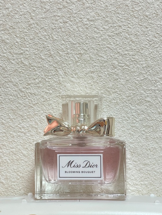 ディオール  （ブランドバッグ）の商品画像 - 査定依頼日：2025年6月17日 - 最高査定価格：3,000円