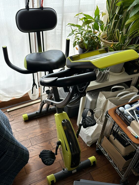 エアロバイク　ALFITS（コスメ・美容・健康器具）の商品画像 - 査定依頼日：2025年3月30日 - 最高査定価格：2,000円