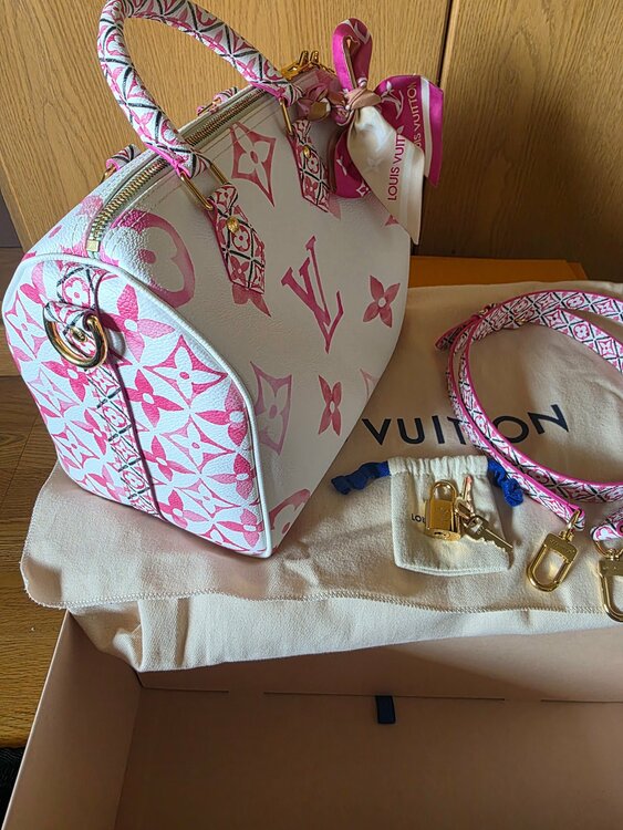 ルイヴィトン スピーディー （ブランドバッグ）の商品画像 - 査定依頼日：2026年3月25日 - 最高査定価格：250,000円