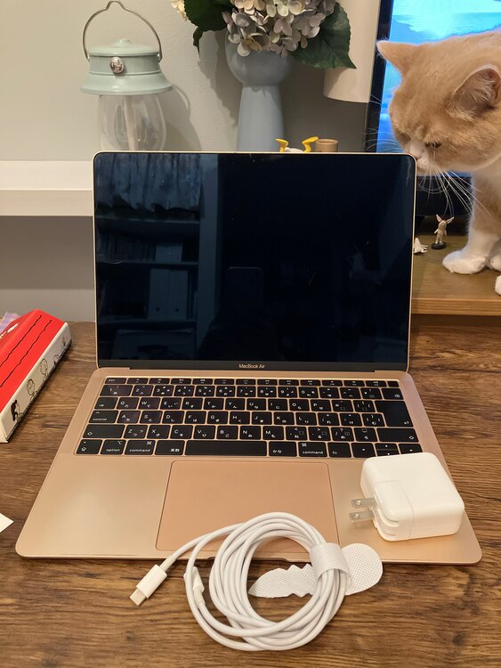 Mac Book air 2019（PC・タブレット）の商品画像 - 査定依頼日：2025年4月2日 - 最高査定価格：22,000円