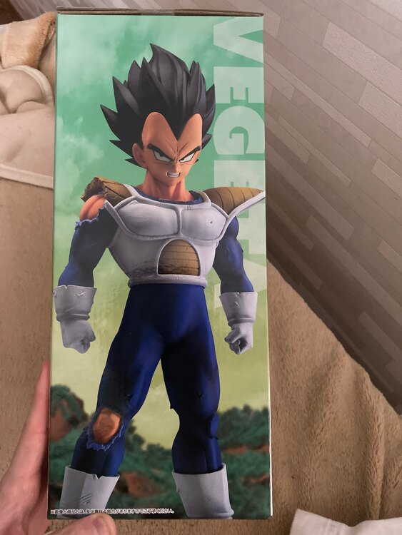 ベジータ　MASTERRISE D賞（フィギュア・プラモデル）の商品画像 - 査定依頼日：2025年5月27日 - 最高査定価格：10,000円