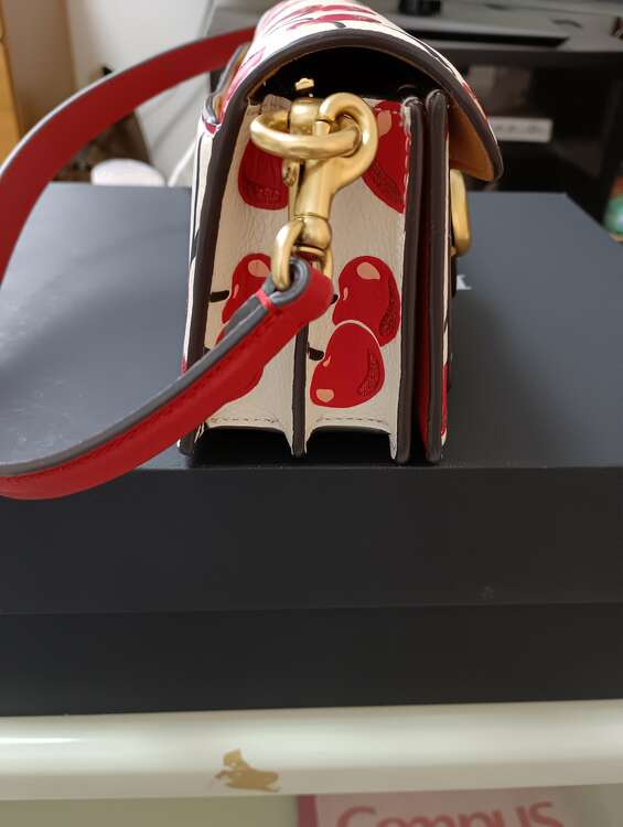 その他 コーチ （ブランドバッグ）の商品画像 - 査定依頼日：2025年1月28日 - 最高査定価格：5,000円