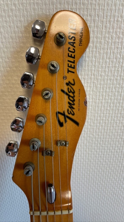 テレキャスターシンライン74（ピアノ・楽器・PA機材）の商品画像 - 査定依頼日：2026年4月8日 - 最高査定価格：440,000円