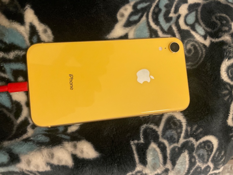 iPhone iPhoneXR 64GB docomo（スマホ）の商品画像 - 査定依頼日：2026年9月23日 - 最高査定価格：7,000円
