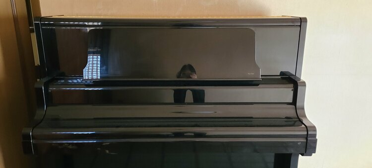 US6X  1985438（ピアノ・楽器・PA機材）の商品画像 - 査定依頼日：2026年3月15日 - 最高査定価格：10,000円