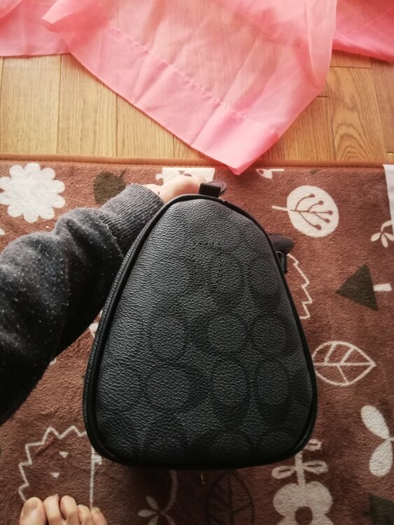 その他 コーチ （ブランドバッグ）の商品画像 - 査定依頼日：2026年3月29日 - 最高査定価格：2,500円