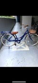 フェリーク（自転車）の商品画像 - 査定依頼日：2025年1月4日 - 最高査定価格：500円