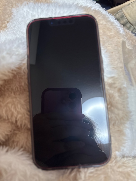iPhone14（スマホ）の商品画像 - 査定依頼日：2026年9月15日 - 最高査定価格：48,500円