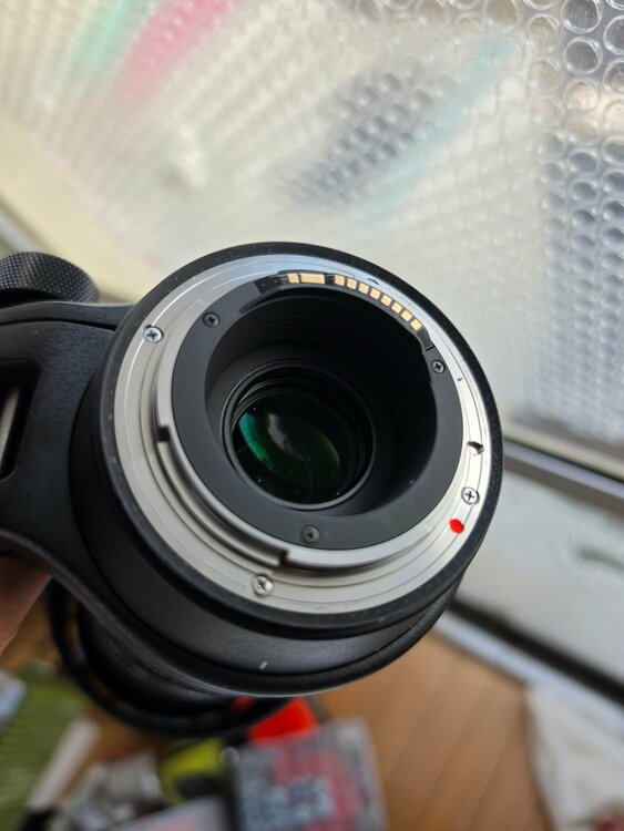 SIGMA 150-600mm F5-6.3 DG OS HSM Contemp（カメラ）の商品画像 - 査定依頼日：2026年8月4日 - 最高査定価格：110,000円