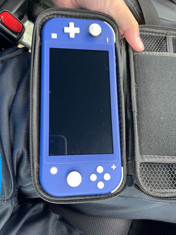 switch lite（ゲーム機本体・ゲームソフト）の商品画像 - 査定依頼日：2023年4月25日 - 最高査定価格：10,000円