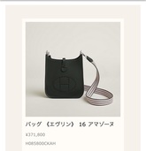 エルメス エブリン （ブランドバッグ）の商品画像 - 査定依頼日：2025年11月16日 - 最高査定価格：360,000円