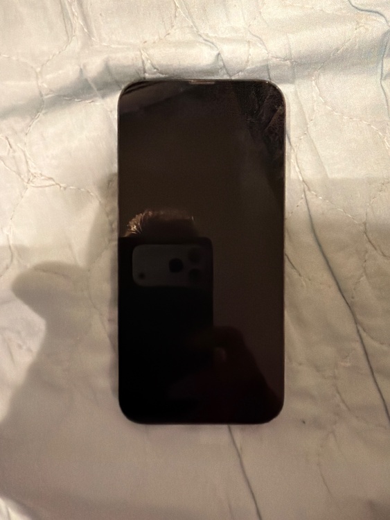 iPhone iPhone 13 Pro Max 256GB SIMフリー（スマホ）の商品画像 - 査定依頼日：2026年7月26日 - 最高査定価格：65,000円