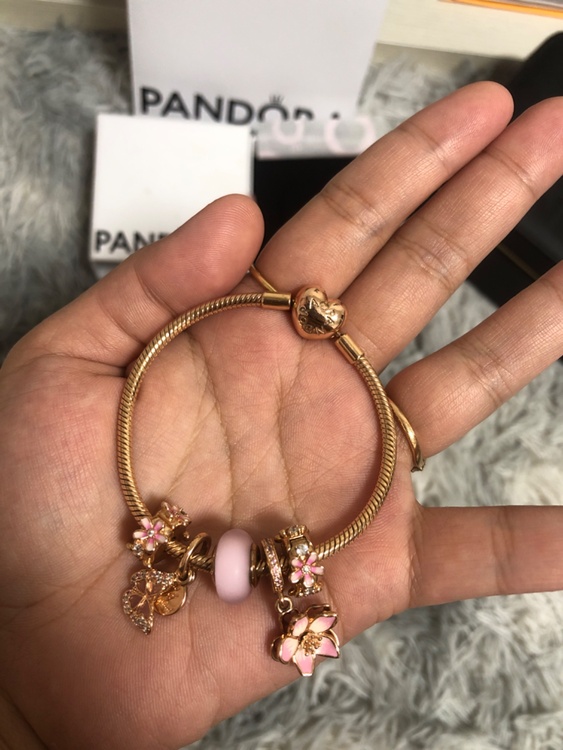 Pandora（宝石）の商品画像 - 査定依頼日：2026年10月15日 - 最高査定価格：100,000円