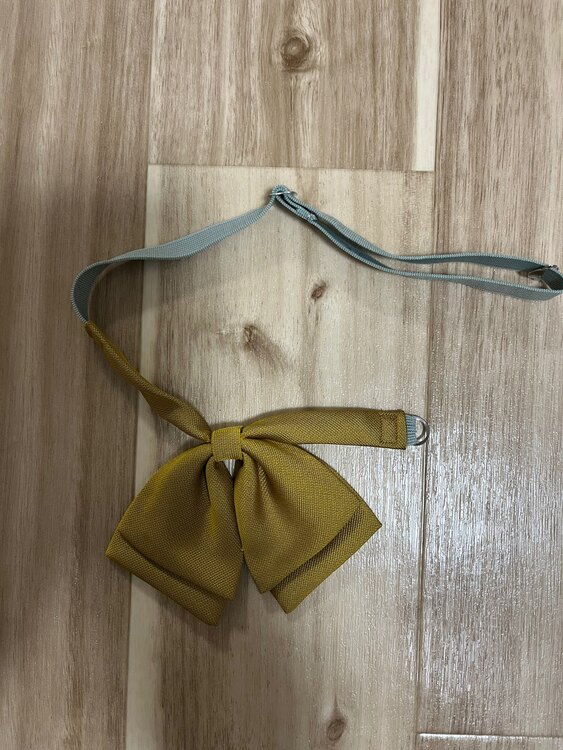 大阪薫英女学院中学校制服（古着・ファッション）の商品画像 - 査定依頼日：2024年11月11日 - 最高査定価格：1,000円