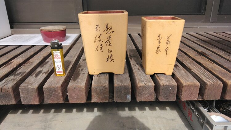 植木鉢（美術品・骨董品）の商品画像 - 査定依頼日：2026年10月4日 - 最高査定価格：3,000円