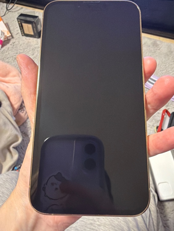 iPhone 13 Pro 256GB SIMフリー（スマホ）の商品画像 - 査定依頼日：2026年4月19日 - 最高査定価格：41,000円