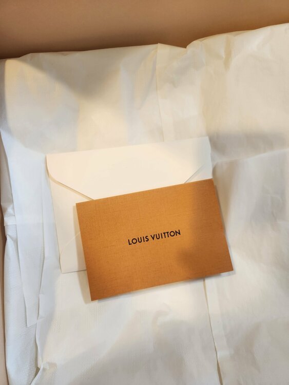 ルイヴィトン ルイヴィトン(その他) （ブランドバッグ）の商品画像 - 査定依頼日：2026年2月28日 - 最高査定価格：450,000円