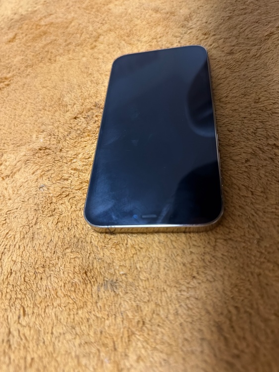 F17DQ3UB0D8J（スマホ）の商品画像 - 査定依頼日：2026年2月17日 - 最高査定価格：35,000円