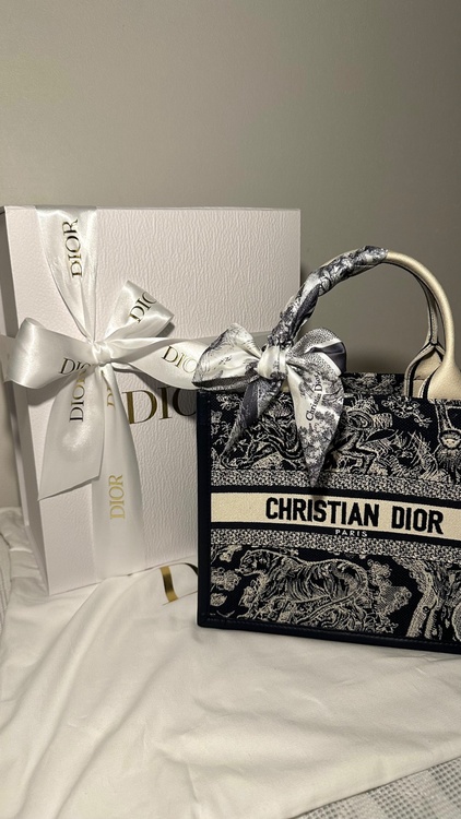 ディオール  （ブランドバッグ）の商品画像 - 査定依頼日：2026年2月9日 - 最高査定価格：190,000円