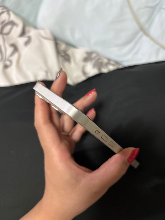 iPhone iPhone 13 256GB SIMフリー（スマホ）の商品画像 - 査定依頼日：2026年9月24日 - 最高査定価格：30,500円