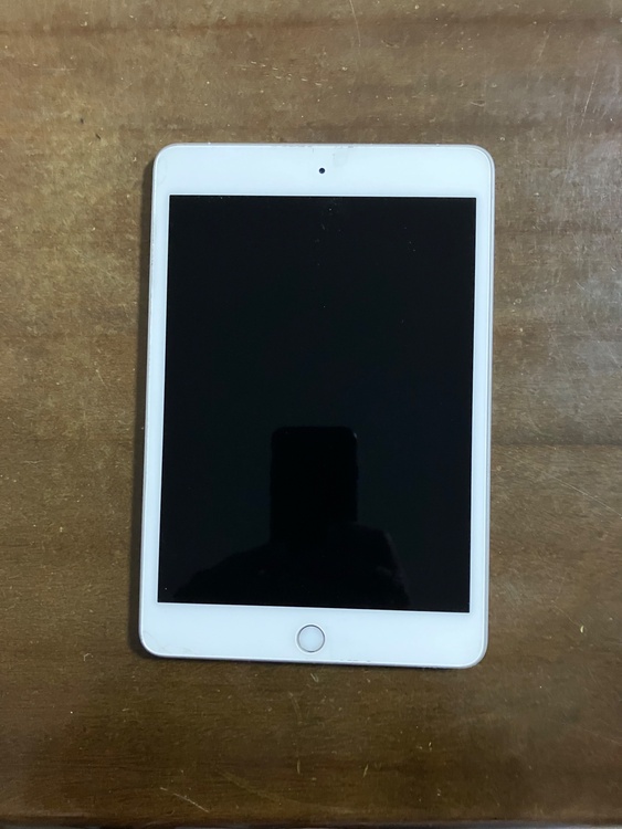 iPad mini（第5世代）（PC・タブレット）の商品画像 - 査定依頼日：2026年2月18日 - 最高査定価格：100,000円