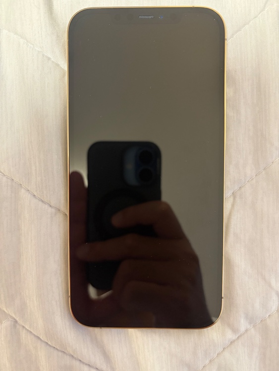 iPhone iPhone 12 Pro Max 128GB SIMフリー（スマホ）の商品画像 - 査定依頼日：2026年8月27日 - 最高査定価格：40,000円