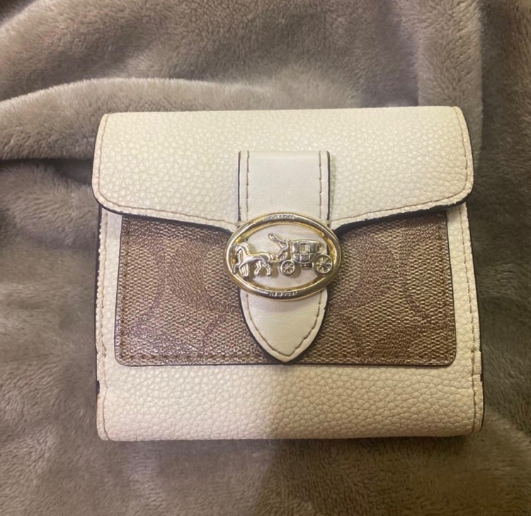 その他 コーチ （ブランドバッグ）の商品画像 - 査定依頼日：2025年10月19日 - 最高査定価格：2,000円