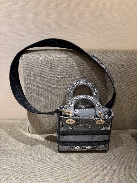 レディディオール（ブランドバッグ）の商品画像 - 査定依頼日：2026年1月20日 - 最高査定価格：250,000円