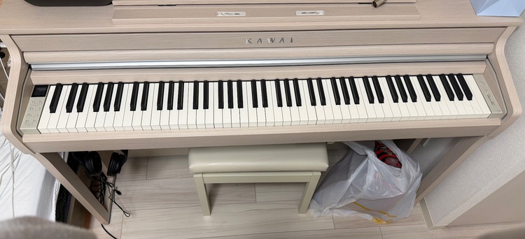 CA401A（ピアノ・楽器・PA機材）の商品画像 - 査定依頼日：2026年7月6日 - 最高査定価格：65,000円