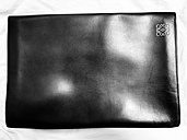 LOEWEドキュメントケース（ブランド財布・小物）の商品画像 - 査定依頼日：2020年3月22日 - 最高査定価格：4,000円