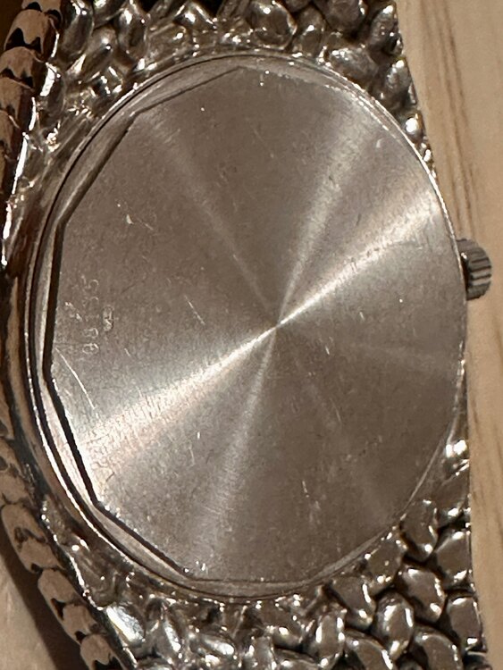 オーデマピゲ その他 5043b（高級時計）の商品画像 - 査定依頼日：2025年4月9日 - 最高査定価格：3,500,000円