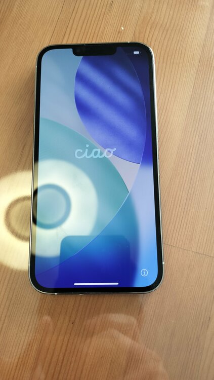 iPhone 13 Pro 256GB SIMフリー（スマホ）の商品画像 - 査定依頼日：2026年1月27日 - 最高査定価格：53,000円