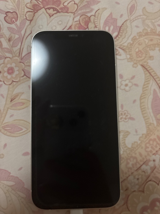 iPhone iPhone 12 64GB Softbank（スマホ）の商品画像 - 査定依頼日：2026年6月13日 - 最高査定価格：20,000円