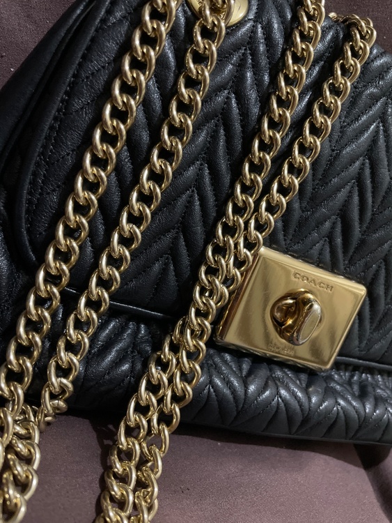 コーチ（ブランドバッグ）の商品画像 - 査定依頼日：2026年4月4日 - 最高査定価格：10,000円