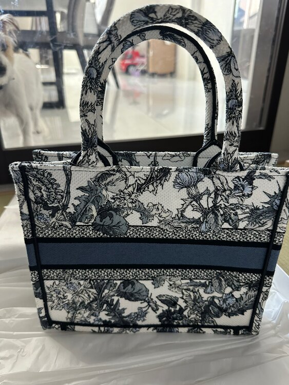 ディオール  （ブランドバッグ）の商品画像 - 査定依頼日：2025年1月24日 - 最高査定価格：180,000円