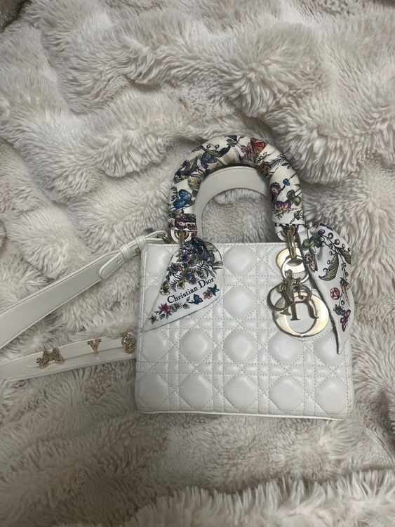 レディディオール（ブランドバッグ）の商品画像 - 査定依頼日：2025年9月18日 - 最高査定価格：380,000円