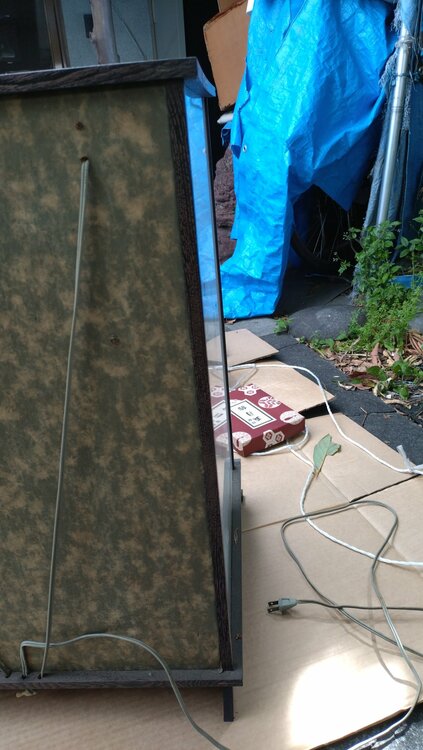 5月人形ヴィンテージ　寿楽斎明玉作絵入り　電気付き提灯付きオルゴール付き（美術品・骨董品）の商品画像 - 査定依頼日：2026年4月27日 - 最高査定価格：100,000円