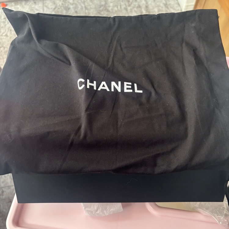 シャネル22 ミニ（ブランドバッグ）の商品画像 - 査定依頼日：2026年1月19日 - 最高査定価格：550,000円