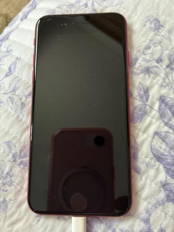 iPhone iPhone SE (第 3 世代) 64GB Softbank（スマホ）の商品画像 - 査定依頼日：2026年9月26日 - 最高査定価格：18,000円
