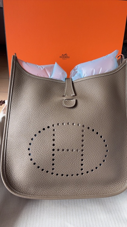 エヴリン（ブランドバッグ）の商品画像 - 査定依頼日：2026年1月27日 - 最高査定価格：550,000円