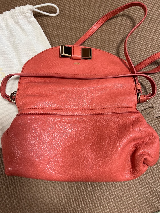 分からない（ブランドバッグ）の商品画像 - 査定依頼日：2025年10月22日 - 最高査定価格：10,000円