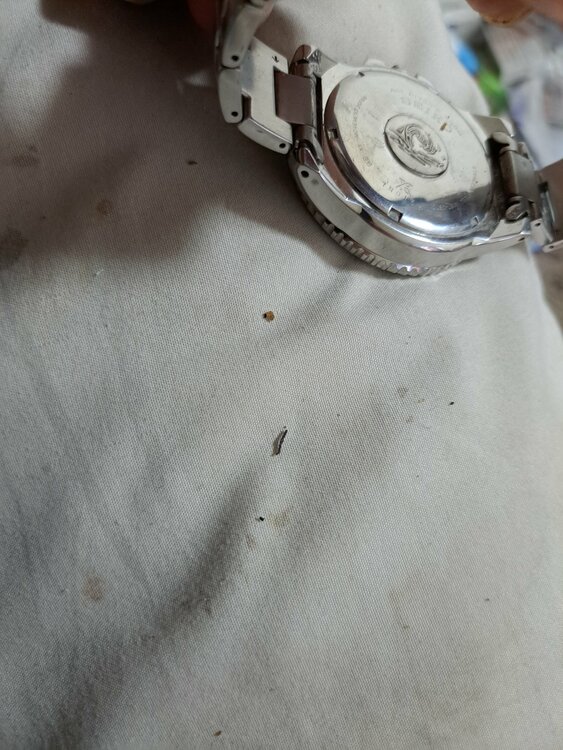 セイコー プロスペックス （高級時計）の商品画像 - 査定依頼日：2026年4月5日 - 最高査定価格：25,000円